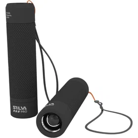 Silva 400