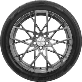 Delinte DS2 205/60 R16 92V
