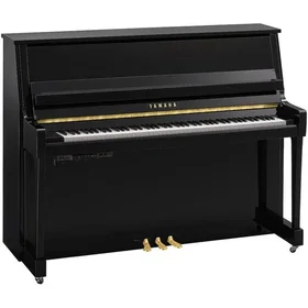Yamaha B20TC3PE