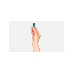 Kioxia USB 3.2 Gen 1 Type-A LU301L256GG4 256GB