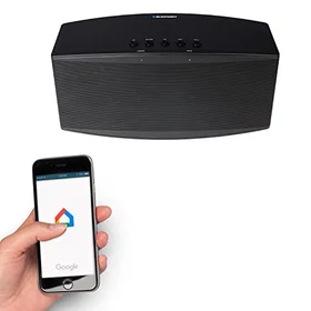 Blaupunkt MR 100