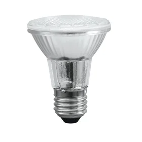 Eurolite PAR-20 Spot silver (230V SMD 6W E-27 LED 3000K)