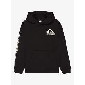 Quiksilver Omni Logo Hoodie (Barn)