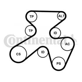 CONTITECH Drivrem