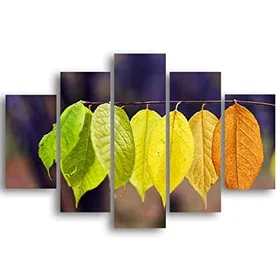 Homemania Världens färg-5 natur-för vardagsrum, rum-flerfärgad, 95 X 0,3 X 60 cm-HM205MDF078, MDF