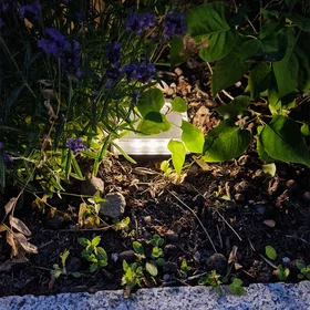 J&EL Solar Flood Light