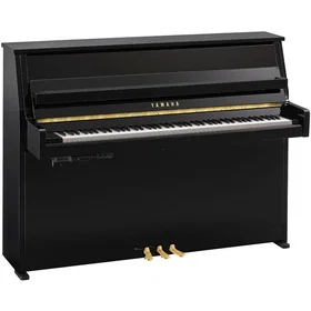 Yamaha B10TC3PE