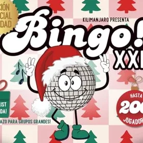 Bingo Spel Med 200 Kort