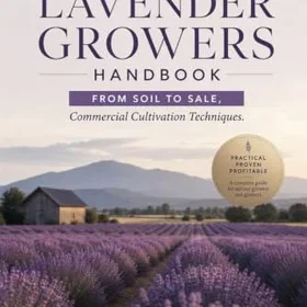 Lavender Odlinghandbok