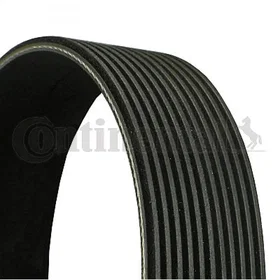 Continental CONTITECH 11PK2871 Ceinture