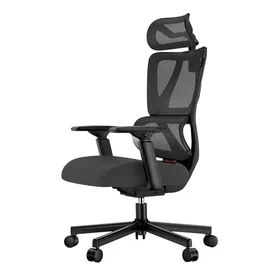 ProtoArc EC100 Ergonomic Task Chair Mesh With Lumbar Support Adjustable Armrests