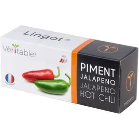 Véritable Sprouting Glass Piment Jalapeno