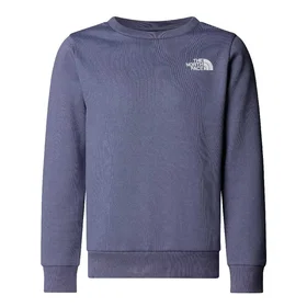 The North Face Simple Dome Sweatshirt (Jr)