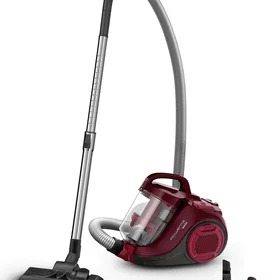 Rowenta RO2933