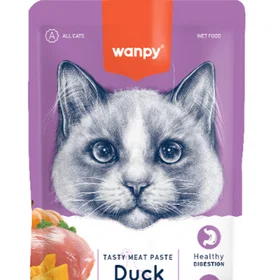 Wanpy Smaksatt kjøttpuré And & Gresskar 90g