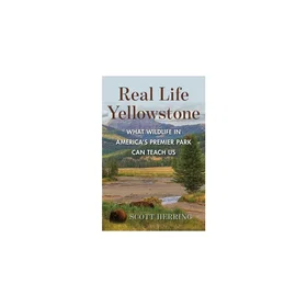 Yellowstone National Parks Coloring Book: Beautiful Wildlife