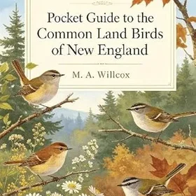 Hansebooks Pocket Guide till de vanliga landfåglarna i New England
