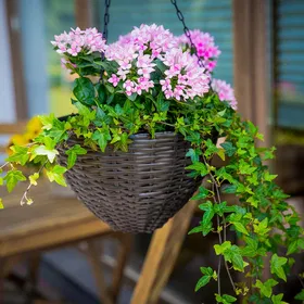 Patio Set om 3 fyrkantiga krukor wenge