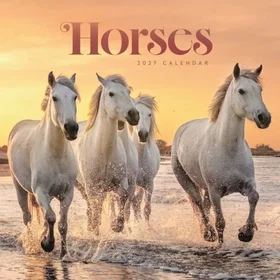 Carousel Horses Wall Calendar 2027