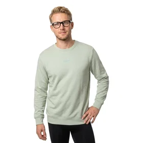 Puma Essential Small Nº1 Logo Centered Sweatshirt (Herr)