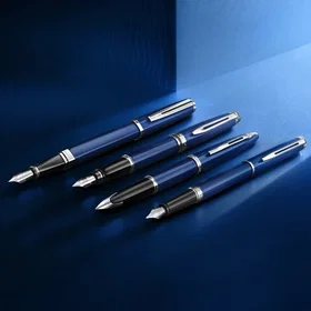Waterman Expert Stylo Billeur Medium Pointe