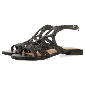 Gioseppo Birch (Women's)