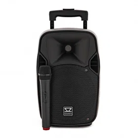 SubZero P8 Haut-parleur PA portable Bluetooth Haut-parleur