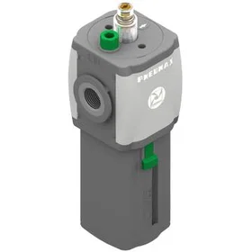 Pneumax N171BL Fettpistol 1/4"