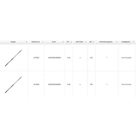 Sele Holiday Surfcasting 3.60m / 150g
