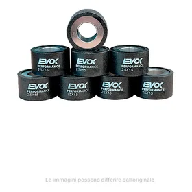 Evoke Silver Variator Rollers 25x15 100480135
