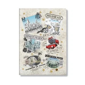 Little, Brown Book Group The Wizarding World Notebook A6 100g Plain 6-pack