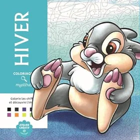 Hachette Heroes Coloriages Mystères Disney Hiver