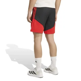 Adidas Benfica Downtime Shorts (Herr)