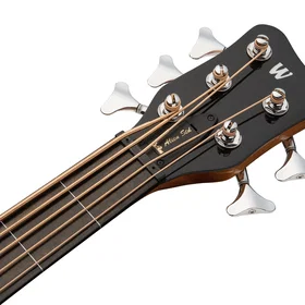 Warwick RockBass Alien Standard 5-String Fretless w/Lines