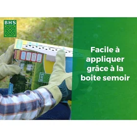 BHS Mélange de fleurs pour abeilles