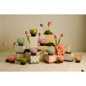 Paddywax Tulip Wisteria & Willow Scented Candle 155g