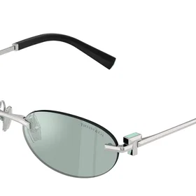 Tiffany & Co. TF3119D