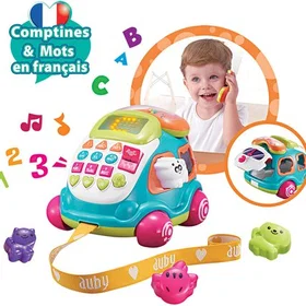 auby Ma Voiture Telephone Multi Activites Walker