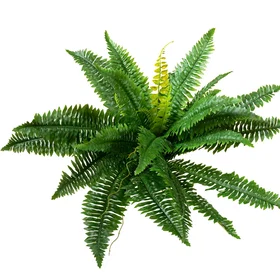 Europalms Kunstig Plante Boston Fern 53cm