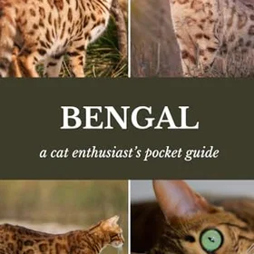 Bengal Guide
