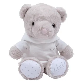 Livly Teddy Tay (11700200ONE)