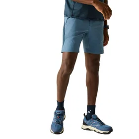 Regatta Mountain Shorts (Herr)