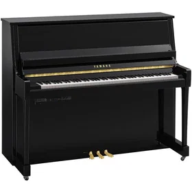 Yamaha B30TC3PE