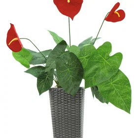 Europalms Artificial Anthurium 70cm Red 82530164