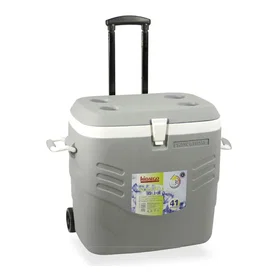 Hidalgo Premium Rigid Refrigerator 41L