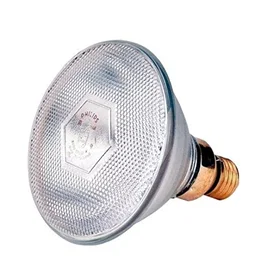 Philips 60800138941 E27 A60 175W