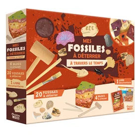 Mes Fossil Dig Kit 20 Fossils 1 Book