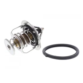 ACKOJA Thermostat d'eau A32-99-1705 Lot de 3