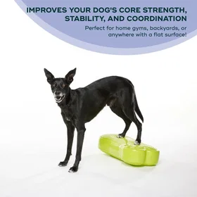 FitPAWS K9FitBone Balanseplate 58x25x10cm