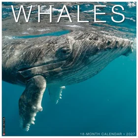 Willow Creek Press Whales Veggkalender 2027